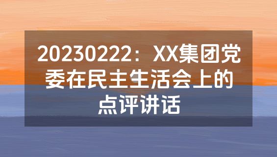 20230222：XX集团党委在民主生活会上的点评讲话