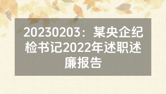 20230203：某央企纪检书记2022年述职述廉报告