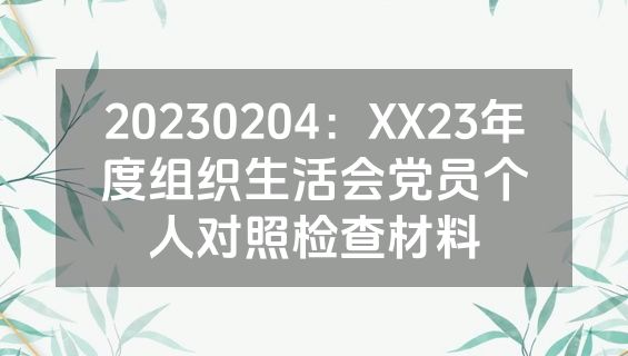 20230204：XX23年度组织生活会党员个人对照检查材料