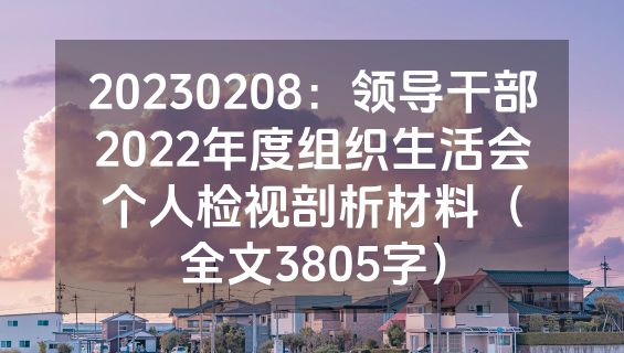 20230208：领导干部2022年度组织生活会个人检视剖析材料（全文3805字）