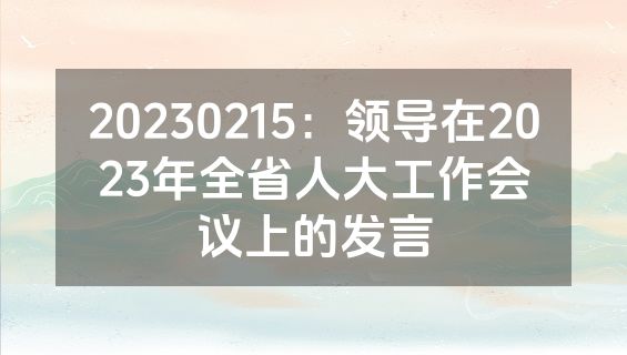 20230215：领导在2023年全省人大工作会议上的发言