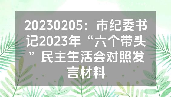 20230205：市纪委书记2023年“六个带头”民主生活会对照发言材料