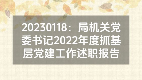 20230118：局机关党委书记2022年度抓基层党建工作述职报告