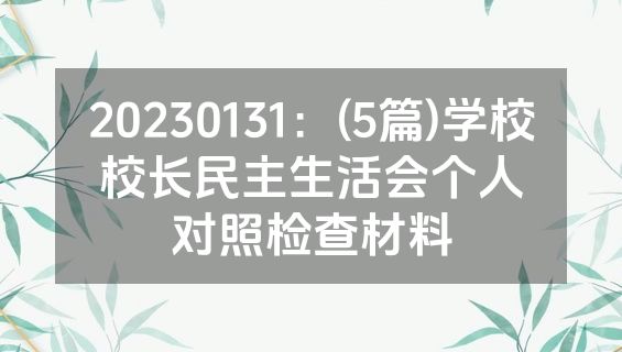 20230131：(5篇)学校校长民主生活会个人对照检查材料