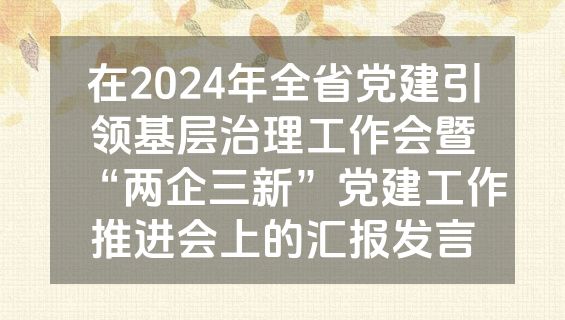 在2024年全省党建引领基层治理工作会暨“两企三新”党建工作推进会上的汇报发言