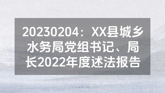 20230204：XX县城乡水务局党组书记、局长2022年度述法报告