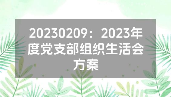 20230209：2023年度党支部组织生活会方案
