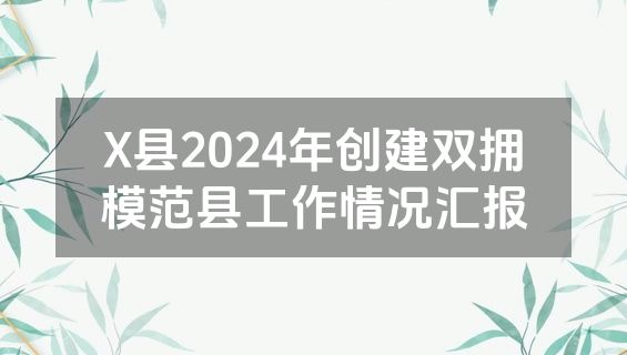 X县2024年创建双拥模范县工作情况汇报