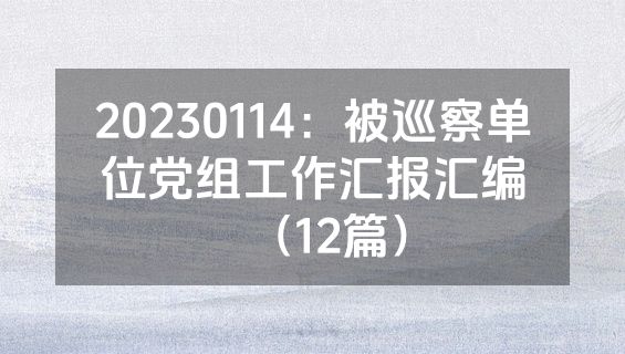 20230114：被巡察单位党组工作汇报汇编（12篇）