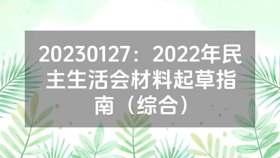 20230127：2022年民主生活会材料起草指南（综合）