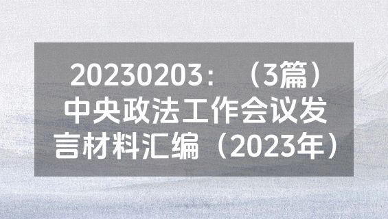 20230203：（3篇）中央政法工作会议发言材料汇编（2023年）