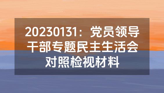 20230131：党员领导干部专题民主生活会对照检视材料