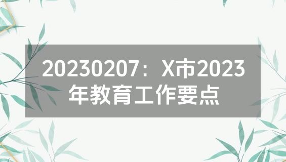 20230207：X市2023年教育工作要点