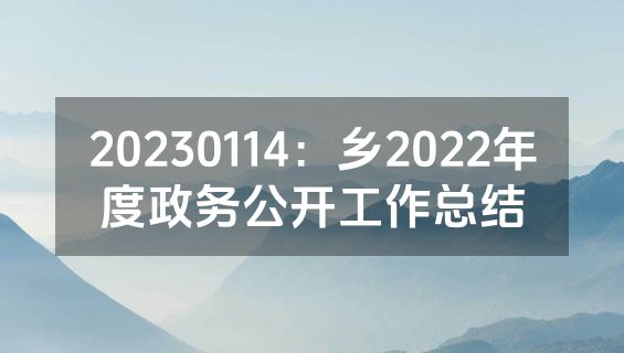 20230114：乡2022年度政务公开工作总结