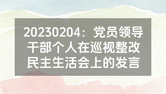 20230204：党员领导干部个人在巡视整改民主生活会上的发言