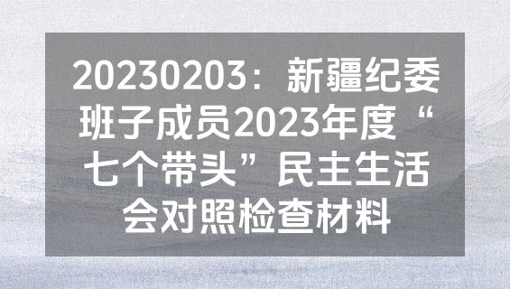 20230203：新疆纪委班子成员2023年度“七个带头”民主生活会对照检查材料