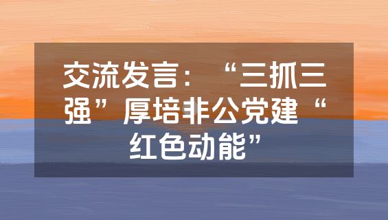 交流发言：“三抓三强”厚培非公党建“红色动能”