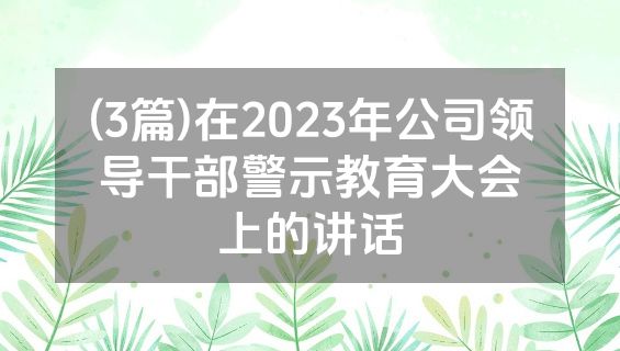 (3篇)在2023年公司领导干部警示教育大会上的讲话