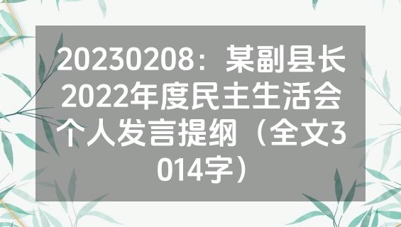 20230208：某副县长2022年度民主生活会个人发言提纲（全文3014字）