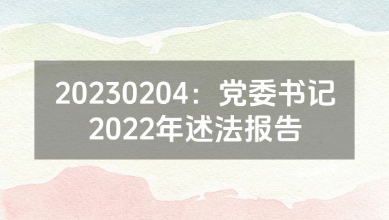 20230204：党委书记2022年述法报告