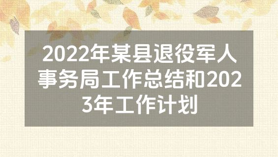 2022年某县退役军人事务局工作总结和2023年工作计划
