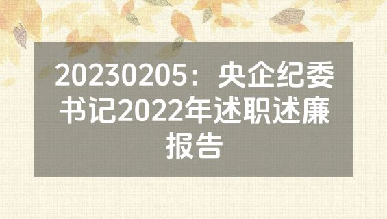 20230205：央企纪委书记2022年述职述廉报告