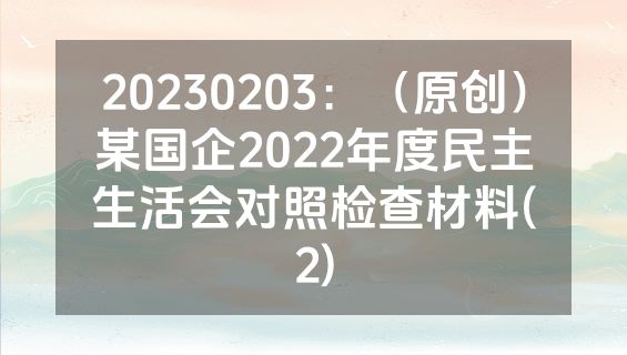 20230203：（原创）某国企2022年度民主生活会对照检查材料(2)