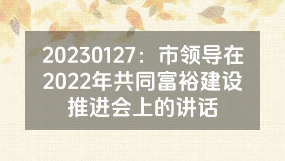 20230127：市领导在2022年共同富裕建设推进会上的讲话