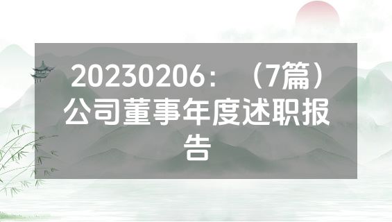 20230206：（7篇）公司董事年度述职报告