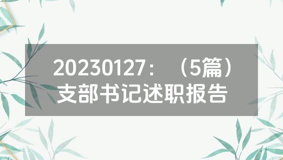 20230127：（5篇）支部书记述职报告