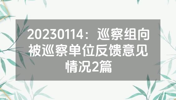 20230114：巡察组向被巡察单位反馈意见情况2篇