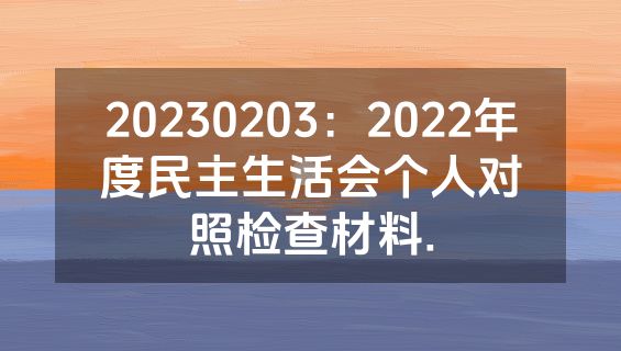 20230203：2022年度民主生活会个人对照检查材料.