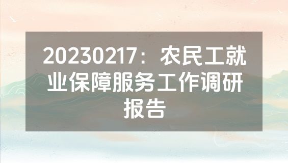 20230217：农民工就业保障服务工作调研报告
