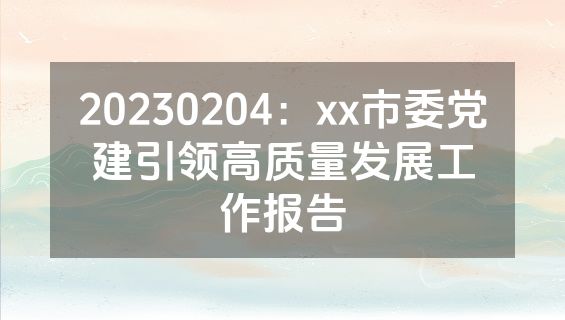 20230204：xx市委党建引领高质量发展工作报告