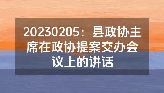 20230205：县政协主席在政协提案交办会议上的讲话