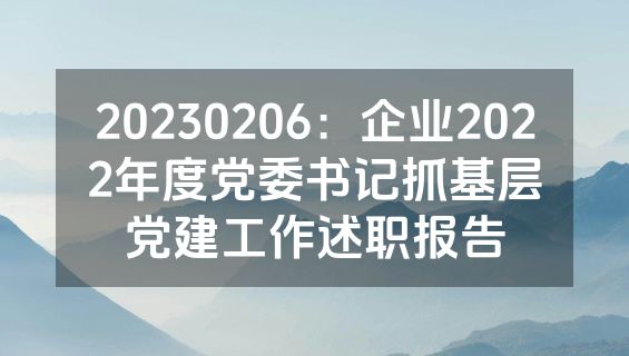 20230206：企业2022年度党委书记抓基层党建工作述职报告