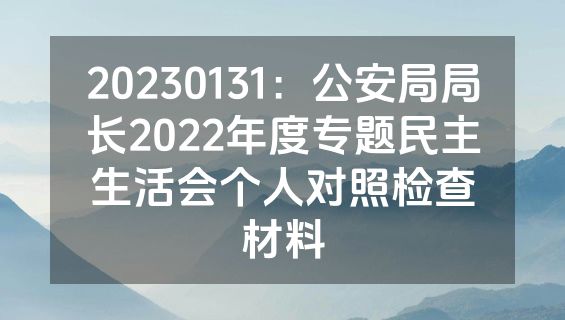 20230131：公安局局长2022年度专题民主生活会个人对照检查材料