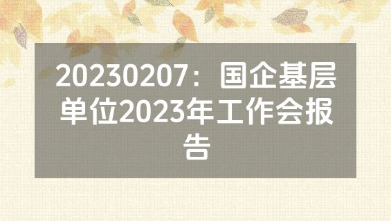 20230207：国企基层单位2023年工作会报告
