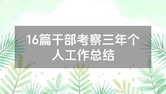 16篇干部考察三年个人工作总结