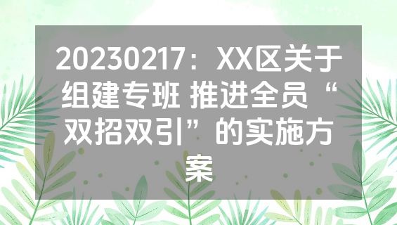 20230217：XX区关于组建专班 推进全员“双招双引”的实施方案