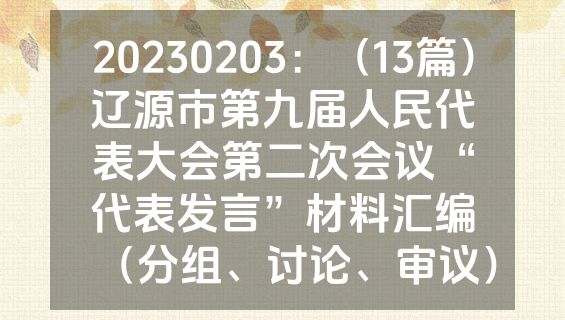 20230203：（13篇）辽源市第九届人民代表大会第二次会议“代表发言”材料汇编（分组、讨论、审议）