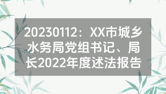 20230112：XX市城乡水务局党组书记、局长2022年度述法报告