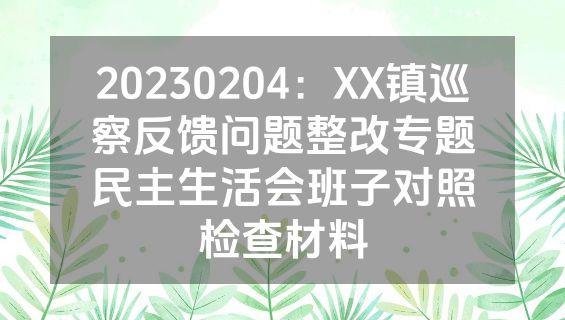 20230204：XX镇巡察反馈问题整改专题民主生活会班子对照检查材料