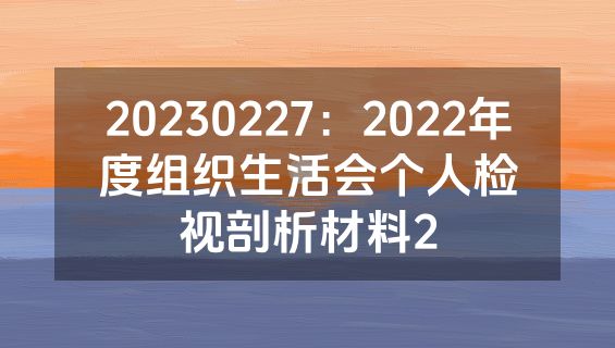 20230227：2022年度组织生活会个人检视剖析材料2
