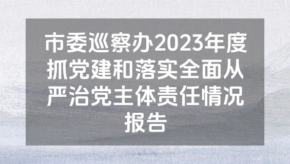 市委巡察办2023年度抓党建和落实全面从严治党主体责任情况报告