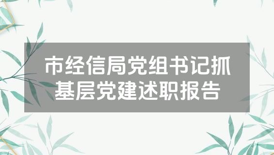 市经信局党组书记抓基层党建述职报告