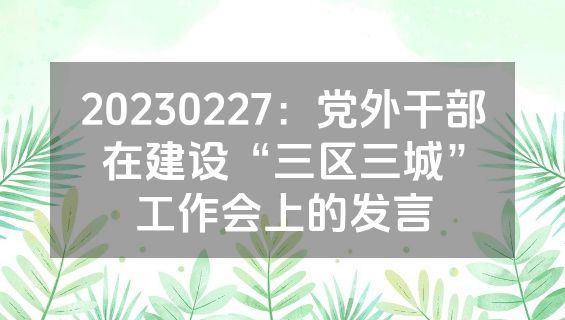 20230227：党外干部在建设“三区三城”工作会上的发言