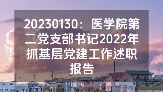 20230130：医学院第二党支部书记2022年抓基层党建工作述职报告