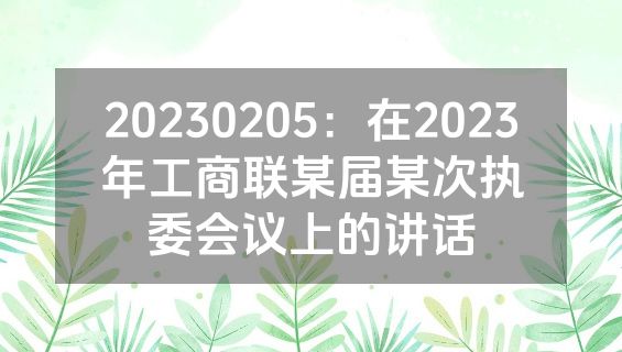 20230205：在2023年工商联某届某次执委会议上的讲话