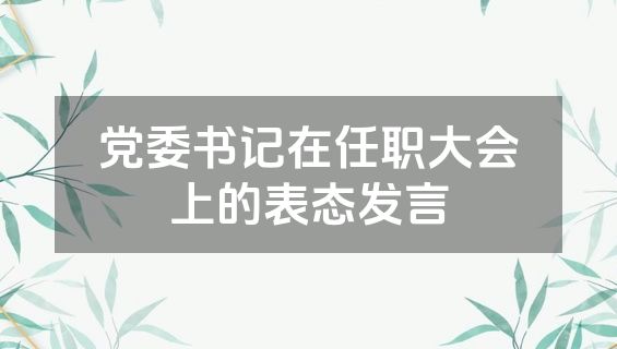 党委书记在任职大会上的表态发言
